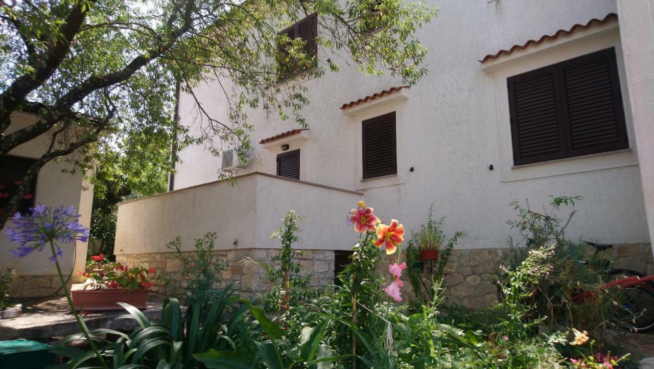 Apartman Dino Tar-Vabriga Exterior foto